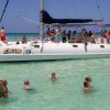 Saona Island Excursion from Punta Cana - Image 4