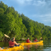 Boca Chica : Los Haitises Guided Hike and Kayaking - Image 9