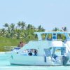 From Santo Domingo: Whale Watching & Cayo Levantado - Image 5