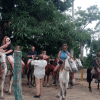 Punta Cana: ATV, Buggy & Horseback Tour with Pick-Up - Image 7