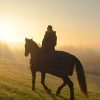 Punta Cana: Sunset Horseback Ride in Macao Beach and Forest - Image 5