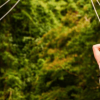 Rainforest Ziplining Adventure - Image 6