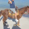 Horseback Riding Tour of Punta Cana - Image 5