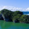 Los Haitises National Park: Boat and Walking Tour with Lunch - Image 5