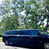 Punta Cana: Private Limousine Transfer to/from Airport (PUJ) - Image 5