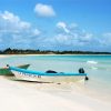 saona premium mano Juan canto de la playa sightseeing tour - Image 5