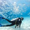 Scuba Diving tour in puerto plata Hotel/Shore - Image 5