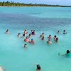 Saona Island Tour from Santo Domingo - Image 5