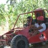 Punta Cana ATV Buggies Adventure from Santo Domingo Tour - Image 5