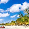 Punta Cana: Catalina Island Snorkeling Tour with Lunch - Image 5