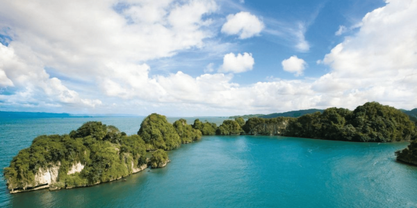 Boca Chica : Los Haitises Guided Hike and Kayaking