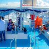 Santo Domingo: Catamaran with Snorkel, Open Bar and Lunch - Image 6