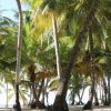 Punta Cana: Saona Island and Altos de Chavón Day Trip - Image 6