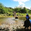 From Puerto Plata: Horseback ride along the mountain river - Image 6