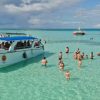 Saona Island: Catamaran Tour to Saona Island All Inclusive - Image 6