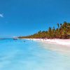 Punta Cana: Saona Island All-Inclusive Day Trip - Image 6