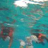 Punta Cana: Speedboat and Snorkeling Adventure - Image 6