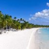 Punta Cana: Saona Islan Full Day With Catamaran and buffet - Image 10