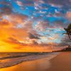 Punta Cana: Sunset Horseback Ride in Macao Beach and Forest - Image 6