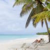 Saona Island Paradise From Punta Cana - Image 6