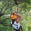 Puerto Plata: Zip Line, Horseback Riding, & Waterfall Combo - Image 6