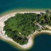 Los Haitises National Park: Boat and Walking Tour with Lunch - Image 6