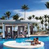 Private Transfer from Riu Palace Bavaro to SDQ - Image 6