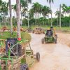 Punta Cana: Saona Island and Buggy Combo - Image 6