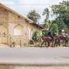 Punta Cana: Samana Full Day Trip Whale Cascada El Limon - Image 7