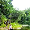 From Puerto Plata: Horseback ride along the mountain river - Image 7