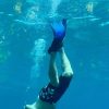 From Punta Cana: Small Group Catalina Island Snorkeling Tour - Image 7