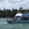 Party boat in Punta Cana with Open Bar and Reef Snorkeling - Image 7