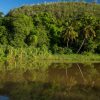 Punta Cana: Full Day Boat Trip to Catalina Island with Lunch - Image 7