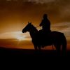 Punta Cana: Sunset Horseback Ride in Macao Beach and Forest - Image 7