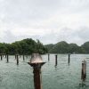 Los Haitises National Park: Boat and Walking Tour with Lunch - Image 7