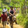 From Punta Cana: Sanctuary Whale Watching Day Trip - Image 7