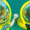 Scuba Doo: Discover Punta Cana's Marine Life In a Fun Way - Image 7