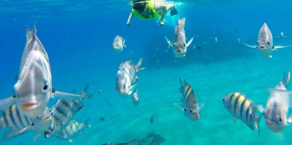 Snorkeling Tour & Sosua Beach Day