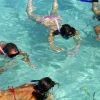 Santo Domingo: Catamaran with Snorkel, Open Bar and Lunch - Image 8