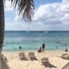 From Punta Cana: Small Group Catalina Island Snorkeling Tour - Image 8