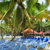 Saona Island Excursion from Punta Cana - Image 7