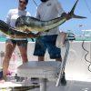 Punta Cana offshore private fishing charter "Sherlock" 39 ' - Image 8