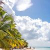 From Punta Cana: Saona Island Cruise with Private Beach - Image 8