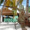 From La Romana: Saona Island for Costa Cruises Passengers - Image 8