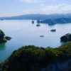 Los Haitises National Park: Boat and Walking Tour with Lunch - Image 8