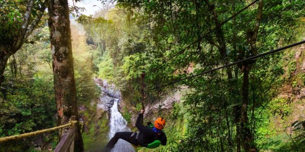 From Punta Cana: Zip Line Canopy Adventure Tour with Pickup