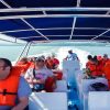 From Punta Cana: Samana Full Day Trip by Bus and Boat - Image 8