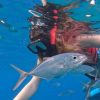 Sosua Sunset party boat And Snorkeling - Image 2