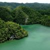 Los Haitises: Boat Excursion and Walking Tour with Lunch - Image 8