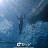 Bayahibe: Snorkeling Tour - Sea, Cotubanama park & Cenotes - Image 8